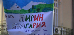 17 града в България и 11 в чужбина - на протест за Пирин