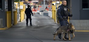 Арестуваха американец, след като ухапа полицейско куче