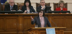 БСП иска референдум за Истанбулската конвенция