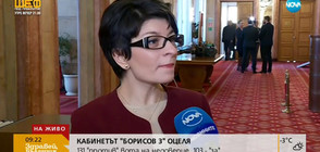Десислава Атанасова: Мотивите за вота на недоверие бяха безсмислени