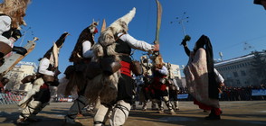 Хиляди сурвакари се събраха за зрелищен фестивал в Перник (ВИДЕО)
