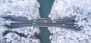 Транспортен хаос в няколко провинции на Китай след силни снеговалежи