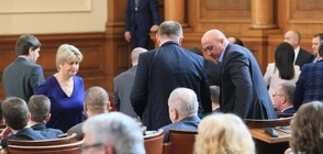 БСП ще промени въпроса си за референдума за Истанбулската конвенция