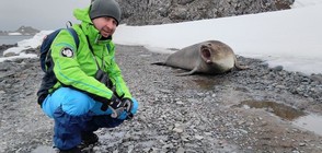 В Темата на NOVA: Антарктика - между два свята