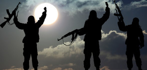 СЛЕД СВАЛЯНЕТО НА РУСКИ САМОЛЕТ: Kлон на "Ал Кайда" пое отговорност