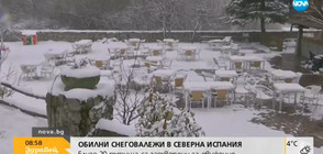 Обилни снеговалежи предизвикаха хаос в Испания (ВИДЕО+СНИМКИ)