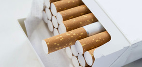 Контрабандата на цигари ощетила хазната с милиарди за 10 години