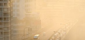 Столичани и русенци на протест срещу мръсния въздух (ВИДЕО)
