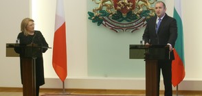 Радев: Проблемът с мигрантите може да се реши чрез по-голяма сигурност в региона