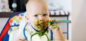 Кой контролира добавките в храната на децата?