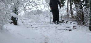 Карат ски по заснежените улици на Париж (ВИДЕО)