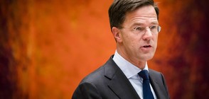 СЛЕД СКАНДАЛ: Холандското правителство оцеля след вот на недоверие