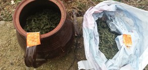 Неутрализираха група за производство и трафик на наркотици (СНИМКИ)