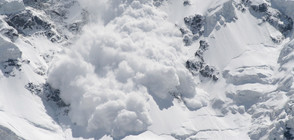 Лавина падна във френски алпийски курорт (ВИДЕО)