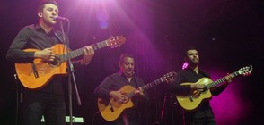 The Gipsy Kings с фламенко фиеста през юни в София