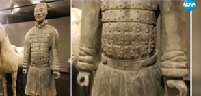 Американец открадна пръст от статуя на 2000 години (ВИДЕО)
