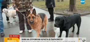 Кой трови кучета из парковете на София?