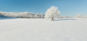 КОД: "ЗИМА": Предупреждение за обилни снеговалежи в цяла България