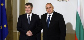 Борисов и Бабиш обсъдили сделката за ЧЕЗ
