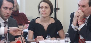 Гинка Върбакова: Политизирането на продажбата на ЧЕЗ се сатанизира (СНИМКИ)