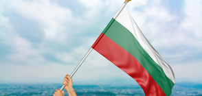 БЯЛО, ЗЕЛЕНО, ЧЕРВЕНО: Кой е първообразът на българското знаме?
