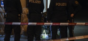 Издирват нападателя, ранил с нож трима във Виена (ВИДЕО+СНИМКИ)