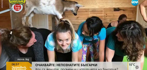 Йога с... козлета (ВИДЕО)