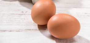 ВЪЗМОЖНА ЗАРАЗА: Изтеглят голямо количество яйца заради птичи грип