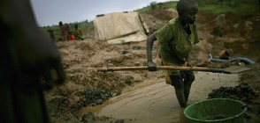 КОБАЛТОВИ ДЕЦА: 4-годишните, които стоят зад смартфона ви (ГАЛЕРИЯ)