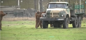 БЪЛГАРСКИТЕ КОМАНДОСИ: Най-елитните ни бойци демонстрираха бойни техники
