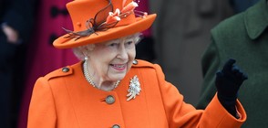 Елизабет II не позволи на кралските пощи да печелят от лика й