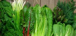 Зелените листни зеленчуци предпазват от диабет