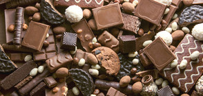 Кога е произведен първият шоколад в България?