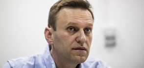Навални бе осъден на 20 дни затвор