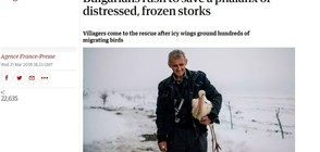 „Гардиън”: Българи спасяват премръзнали щъркели