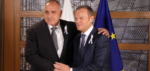 Борисов пред Туск: За България е важно да има добри отношения със своя съсед (ВИДЕО+СНИМКИ)
