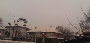 Жълтеникав сняг валя в Североизточна България (ВИДЕО+СНИМКИ)
