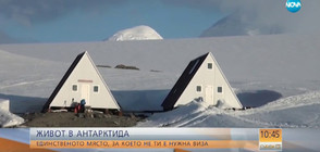 Живот на Антарктида: Единственото населено място, за което не ти е нужна виза