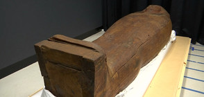 Саркофаг на 2500 г. крие тайни за Древния Египет (ВИДЕО)