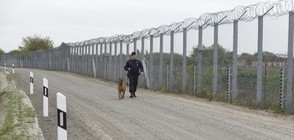 МВР: Нямаме отношение към възстановяването на оградата на границата с Турция