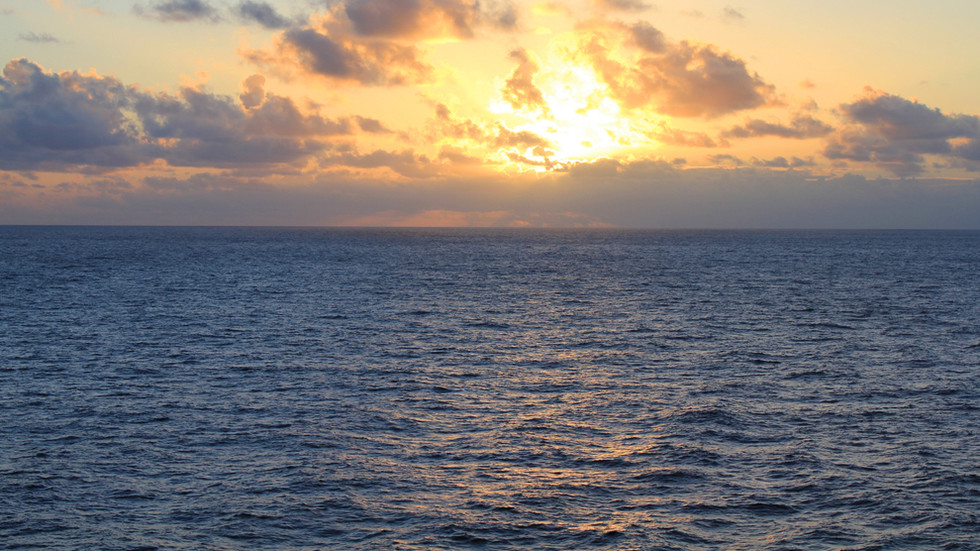 Снимка: Shutterstock