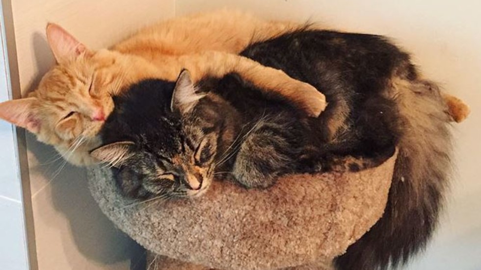 Снимки: Instagram