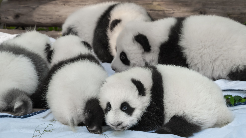 Снимка: Thinkstock