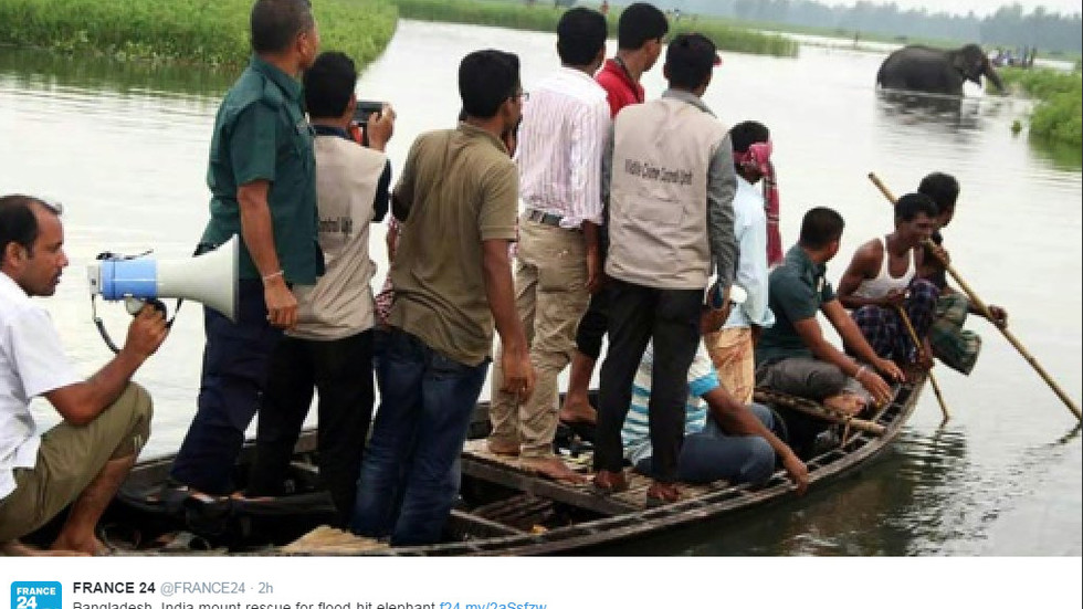 Снимка: Twitter