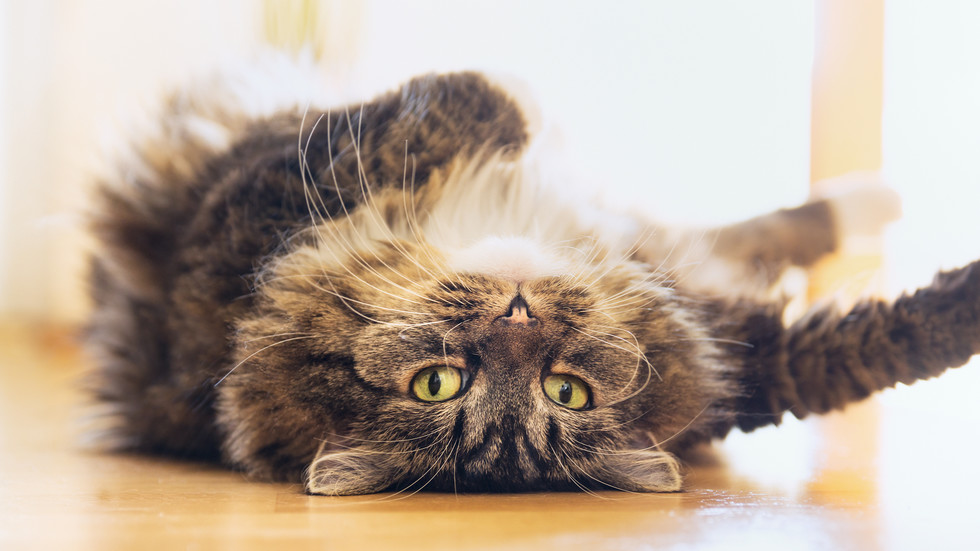 Снимка: Thinkstock