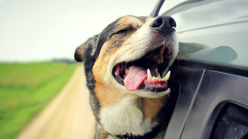 Снимка: Thinkstock