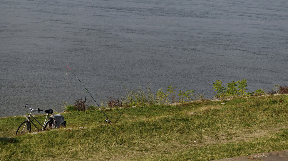 Снимка: Тhinkstockphotos