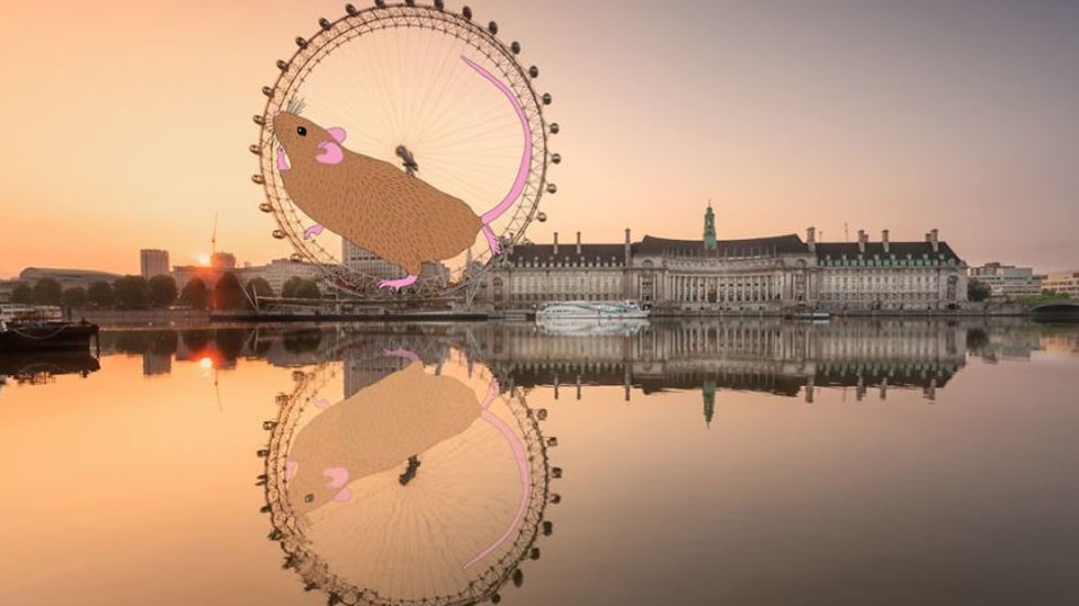 Снимка: Instagram