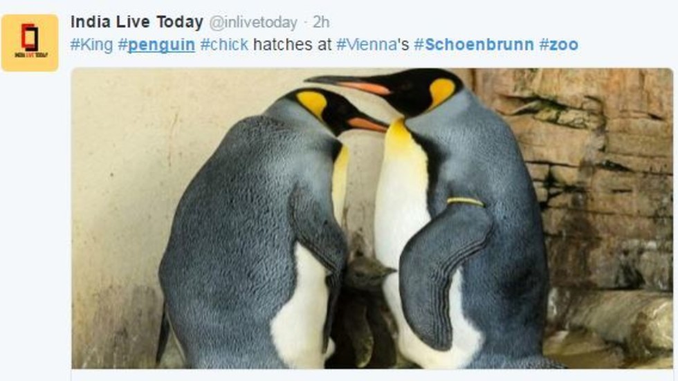 Снимка: Twitter