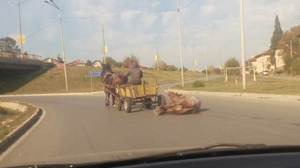 Снимка: Facebook
